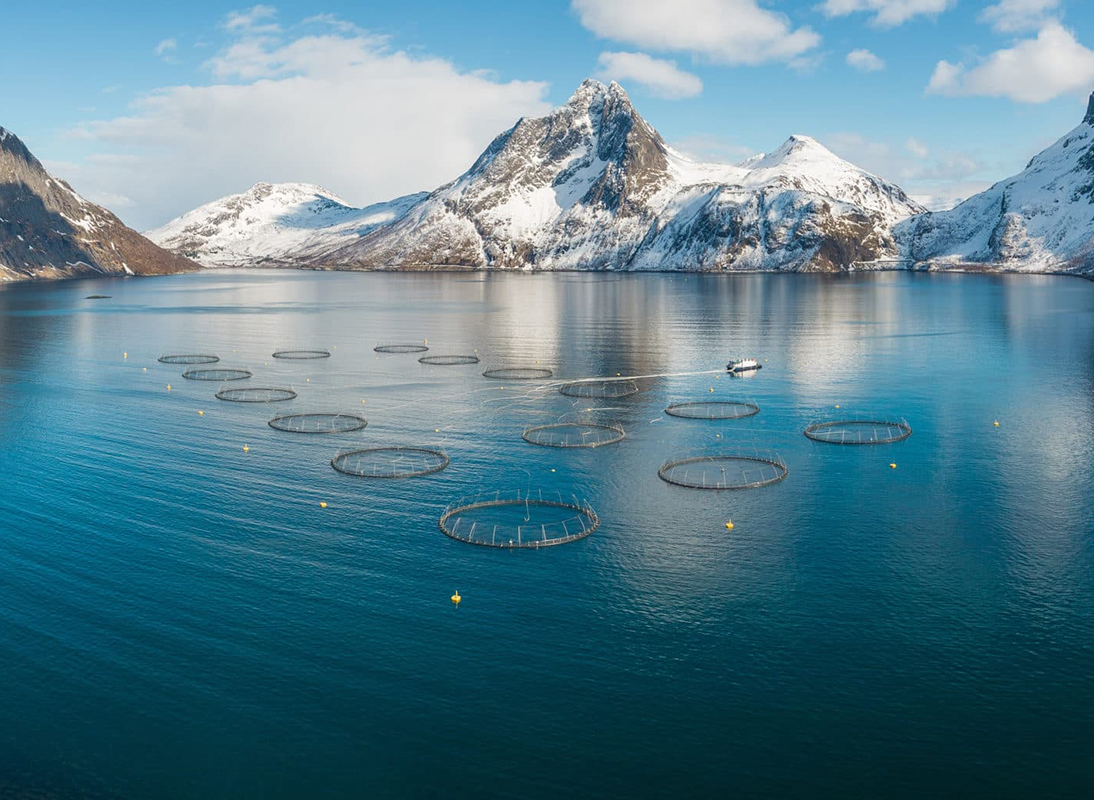 Die Aquakultur und Fischindustrie sind zwei der wichtigsten Wirtschaftszweige im Norden Norwegens. Bild: AM North