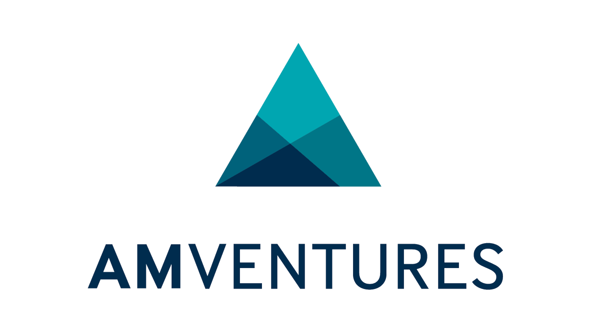 AM Ventures