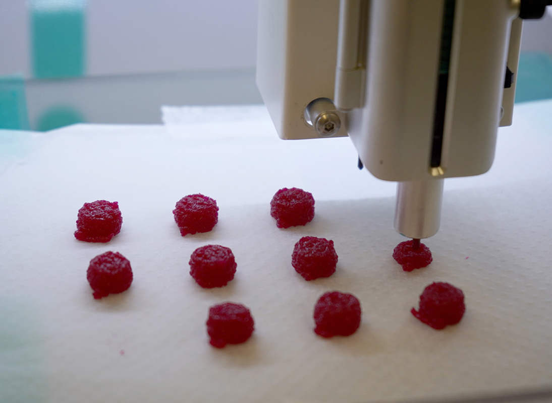 The drugs are being 3D-printed in a semi-solid and chewable form. Picture: Vall d'Hebron University Hospital