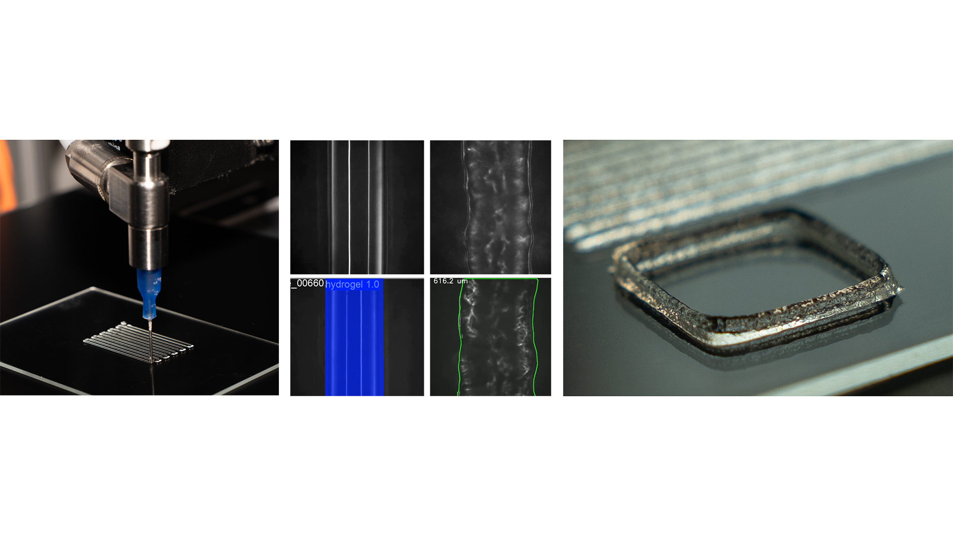 biomotion-technologies