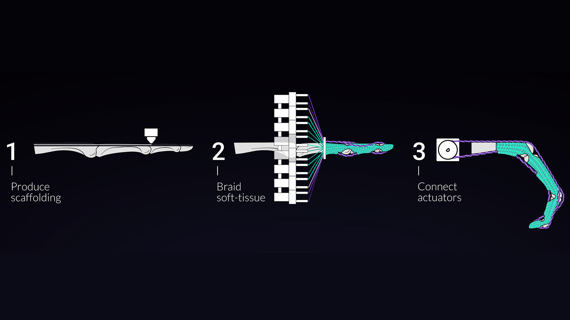 tissue-braiding-diagram