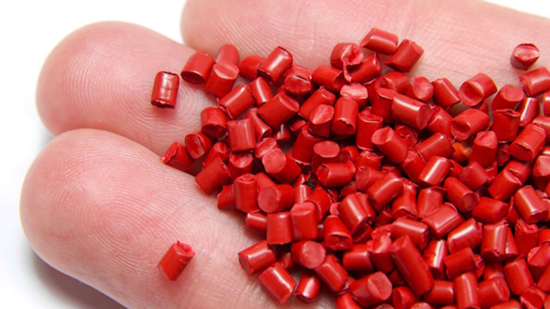 Red plastic polymer granules holding in hand