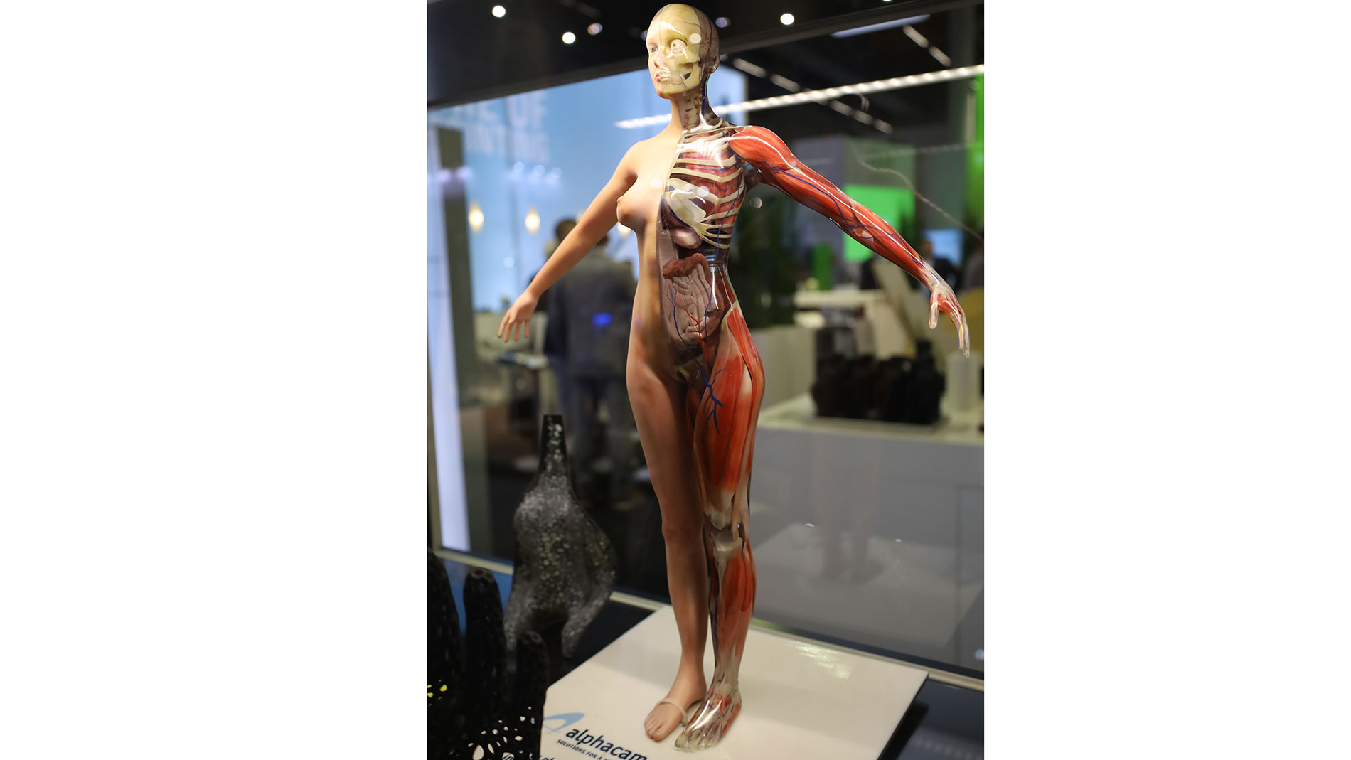 Medical model at the Alphacam stand. Image: Thomas Masuch