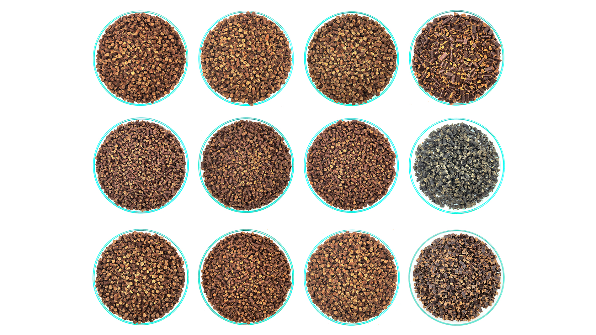 Different material formulations as pellets. Image: Danny Ott