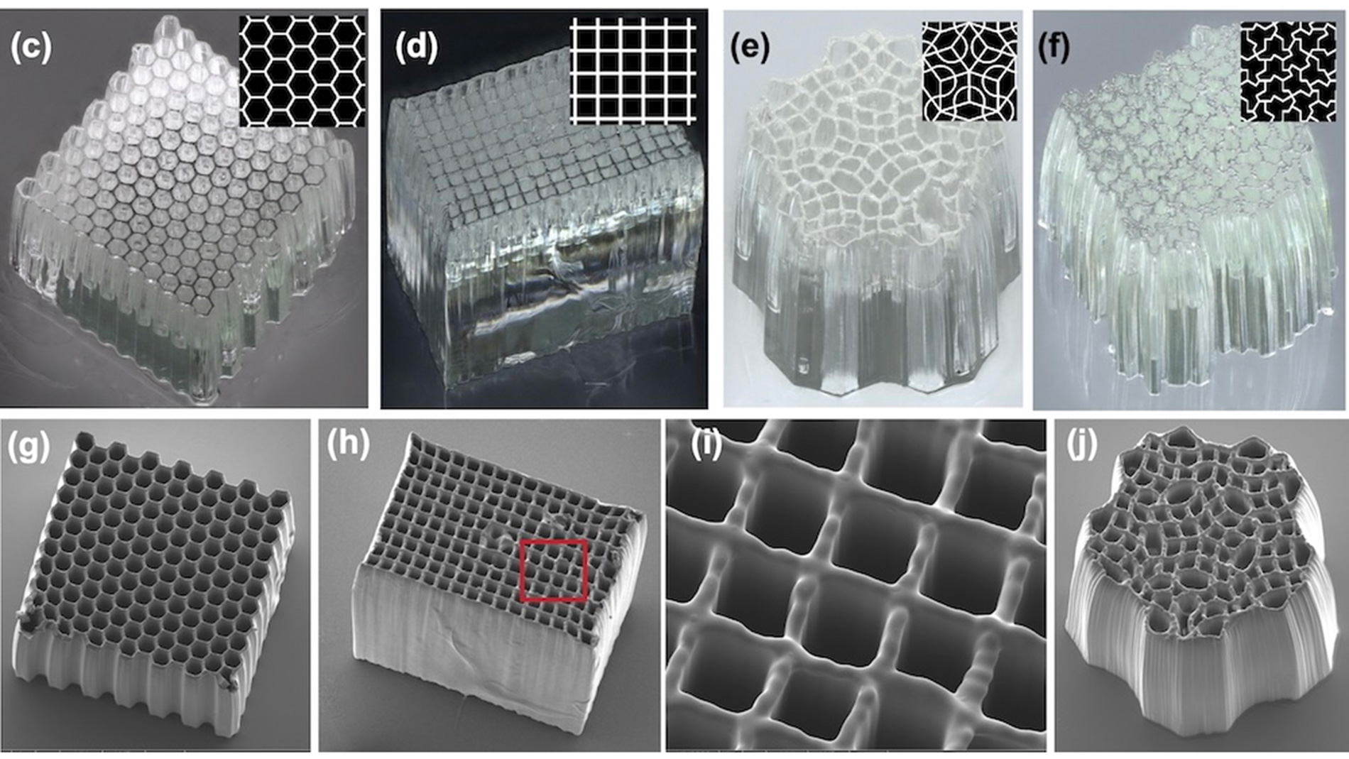 The researchers demonstrated multiple different lattice patterns for their microtubule arrays. Image: Menon Lab University of Utah