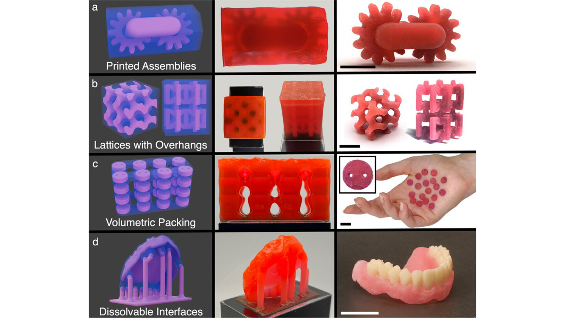 The results of SSVP printing and post-processing for various complex geometries. L–R a rendering of the two-wavelength CAD, the as-printed object, and the object after support dissolution. a) A three-part, print-in-place assembly with interlocking, functional gears. b) A gyroid lattice and a reentrant lattice, both with overhanging features that require the use of supports. c) Volumetrically packed buttons. d) A printed denture base and assembled denture model. For this print, only a thin interface between the supports and the object was printed with soluble material. Image: MIT